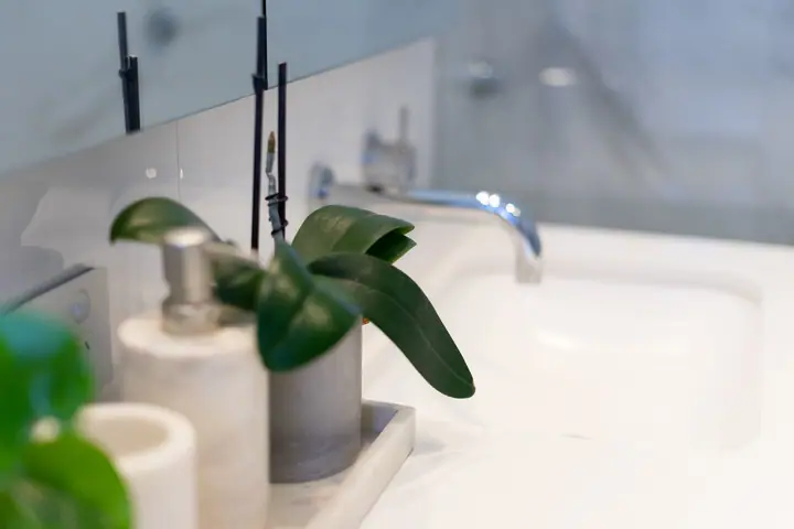 Close-up of a basin and tapware with plants
